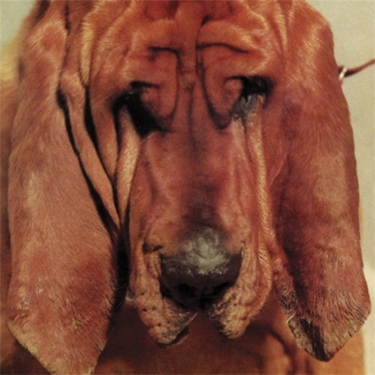 Ty-Segall-Goodbye-Bread